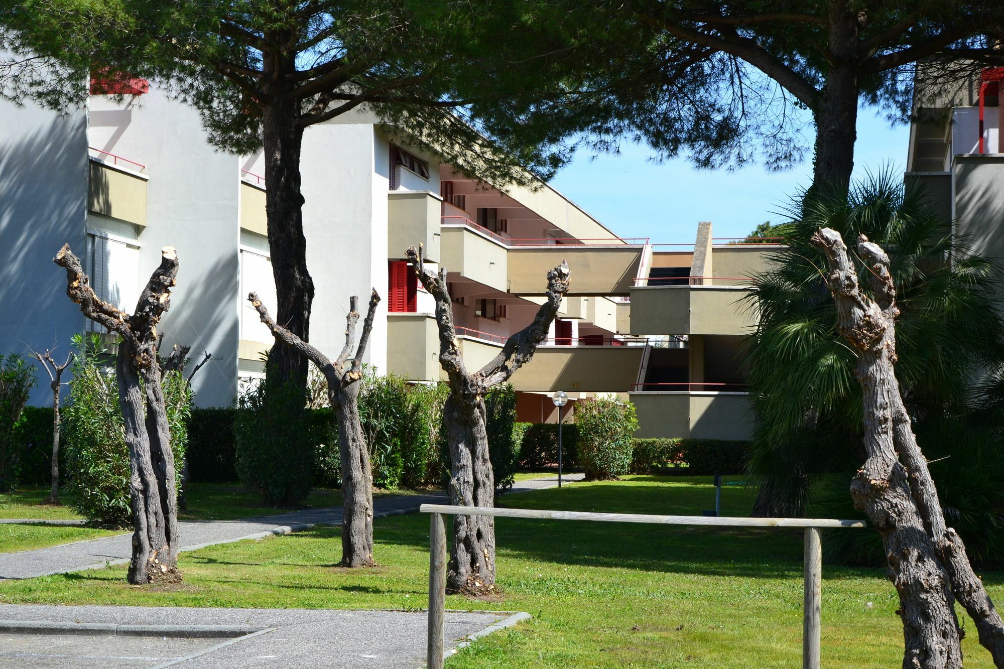 Via Dei Platani